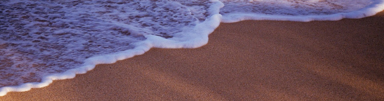 About The Baga Beach Resort